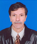 Prof. Salah Mecheri