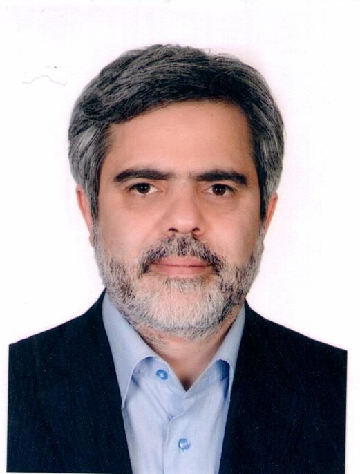 Prof. Massoud Amini